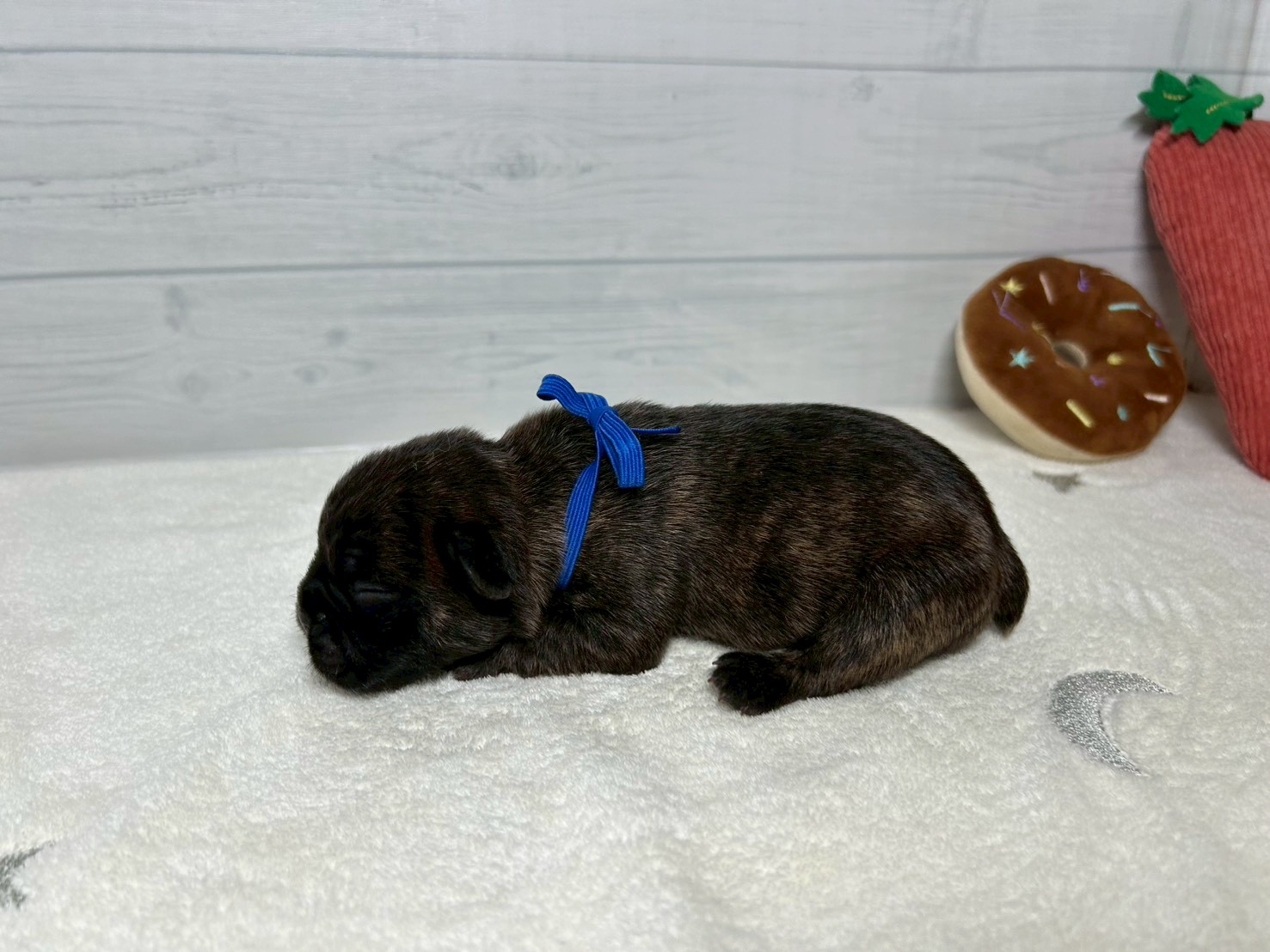 赤ちゃん写真1-2