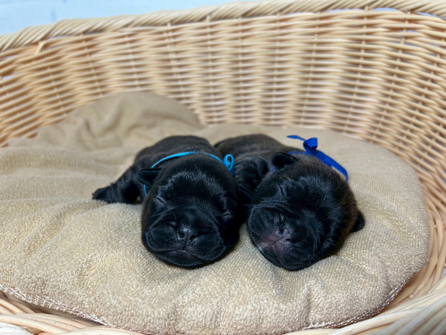 赤ちゃん写真1-3