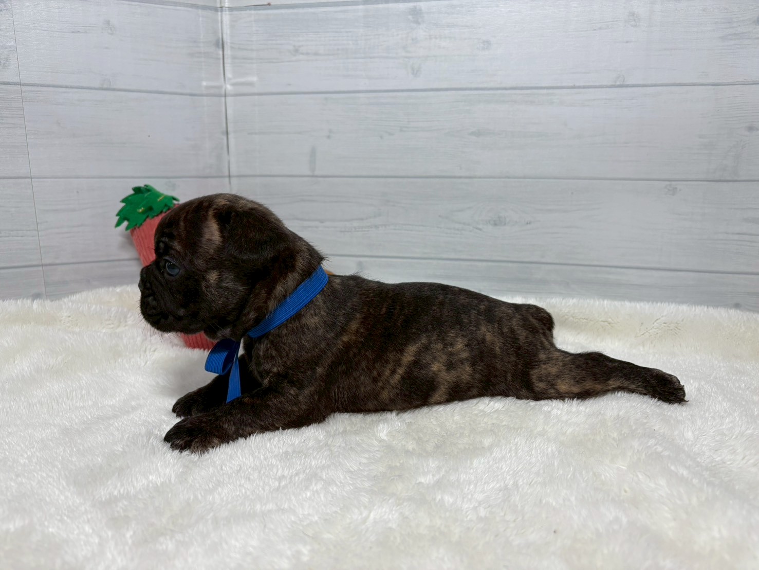 赤ちゃん写真2-2