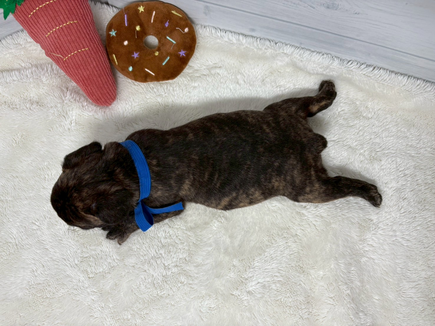 赤ちゃん写真2-3