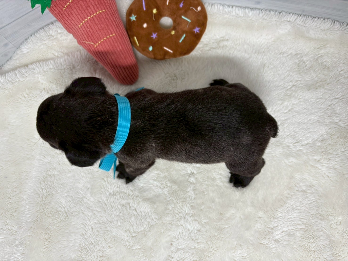 赤ちゃん写真2-3