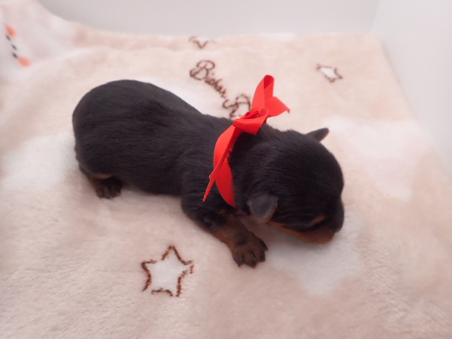 赤ちゃん写真1-3