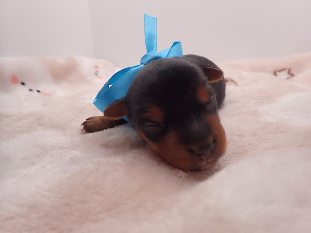 赤ちゃん写真1-1