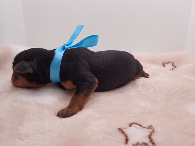 赤ちゃん写真1-2