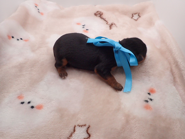 赤ちゃん写真1-3