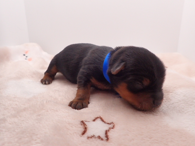 赤ちゃん写真1-2