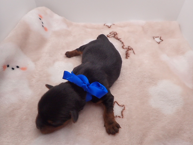 赤ちゃん写真1-3