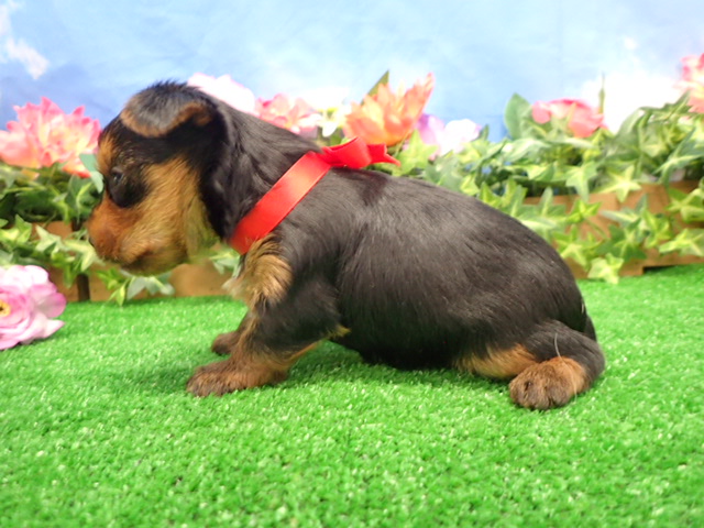 赤ちゃん写真2-2