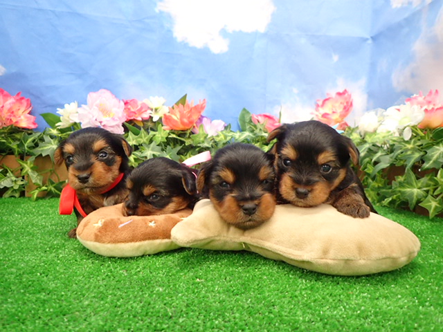 赤ちゃん写真2-3