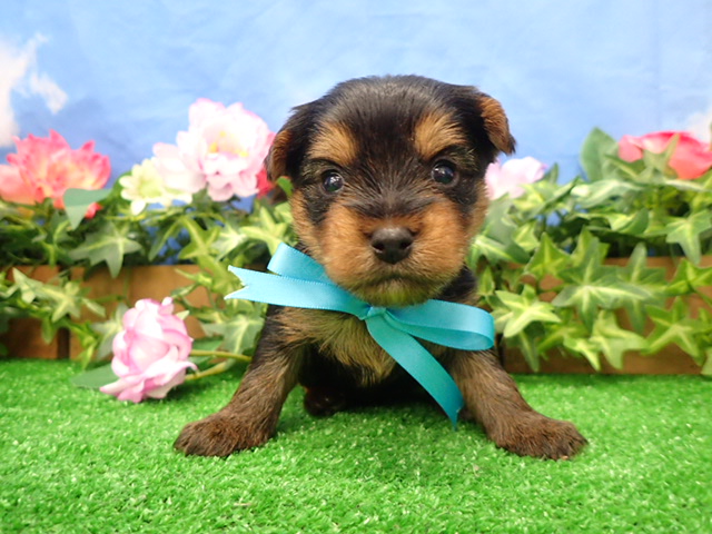 赤ちゃん写真2-1