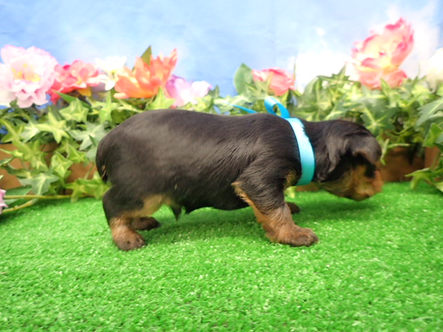 赤ちゃん写真2-2