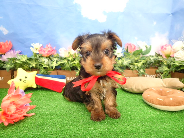 赤ちゃん写真3-1