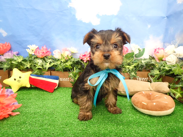 赤ちゃん写真3-1