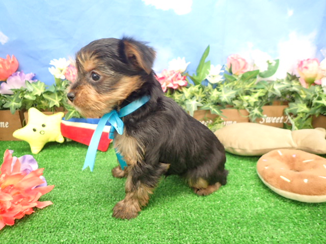 赤ちゃん写真3-2