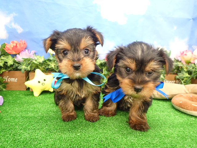 赤ちゃん写真3-3