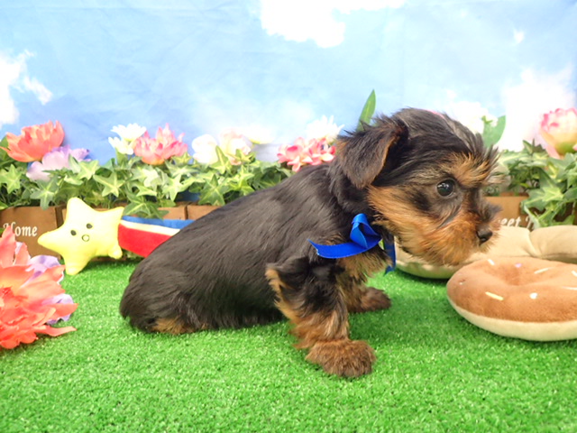 赤ちゃん写真3-2