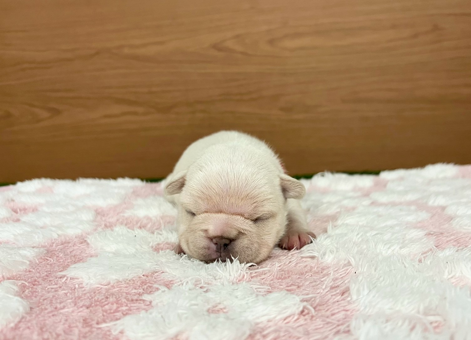 赤ちゃん写真1-1