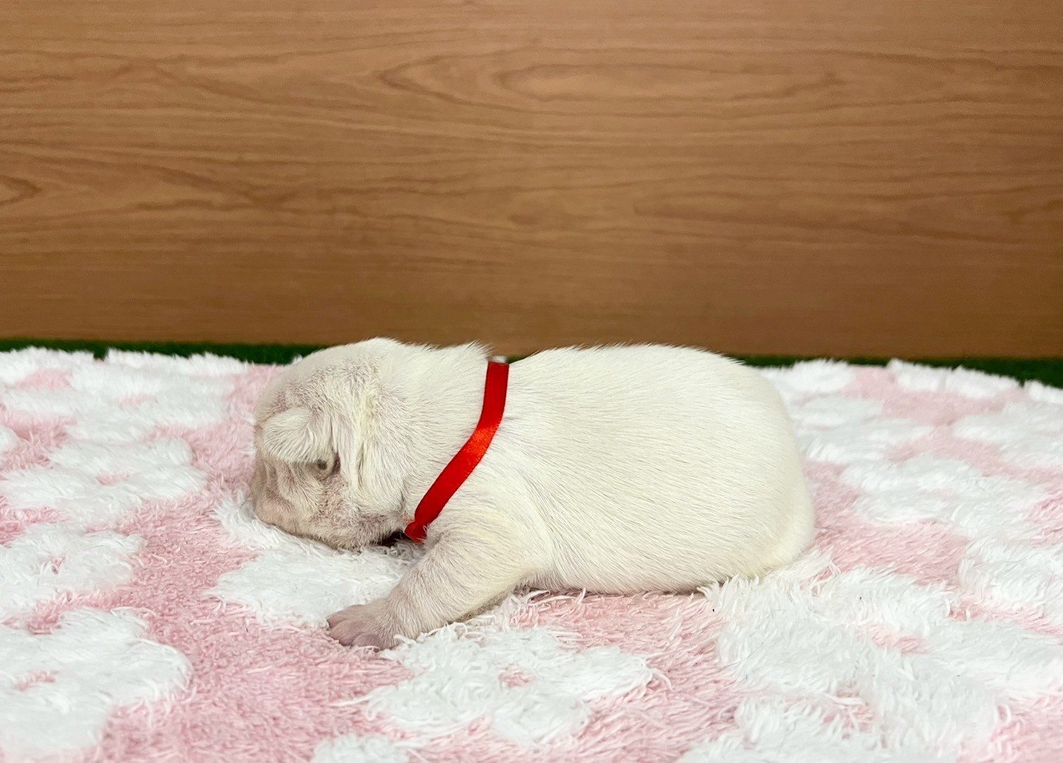 赤ちゃん写真1-2