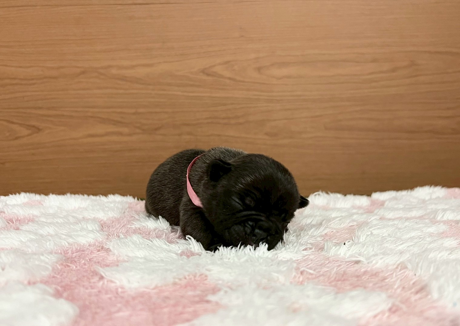 赤ちゃん写真1-1