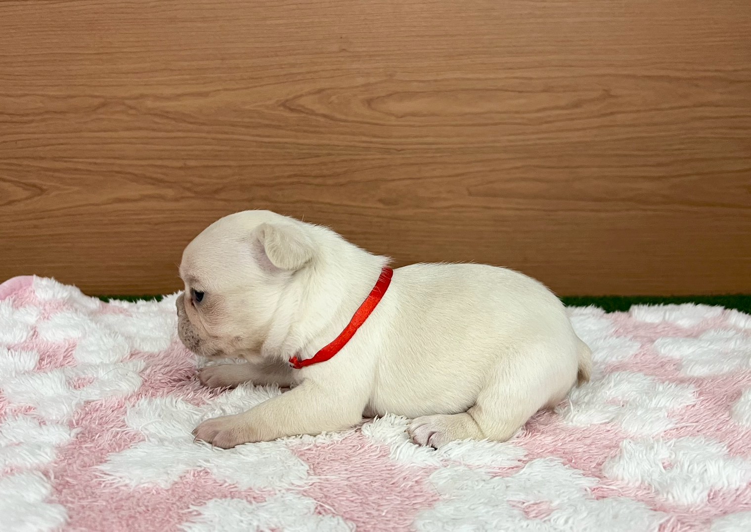 赤ちゃん写真2-2