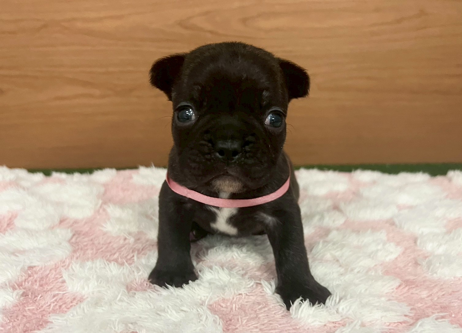 赤ちゃん写真2-1