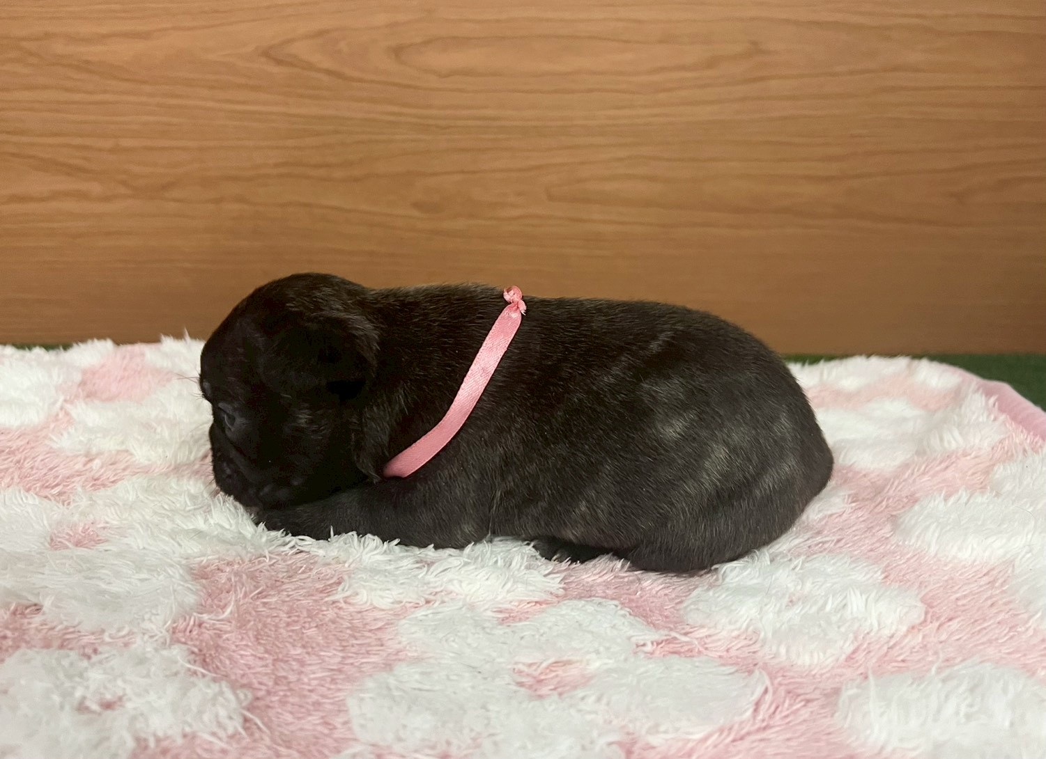 赤ちゃん写真2-2