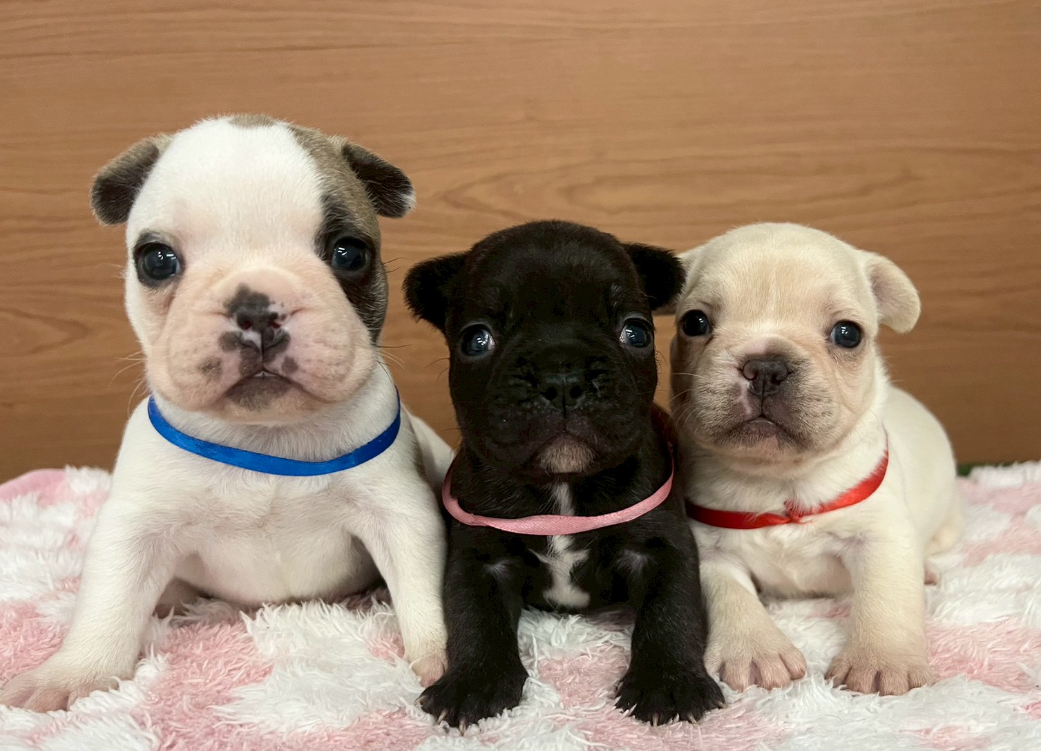 赤ちゃん写真2-3