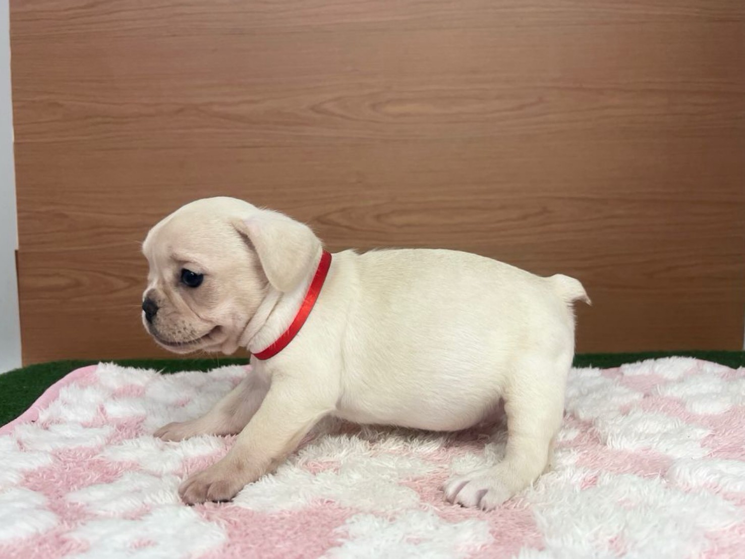 赤ちゃん写真3-2