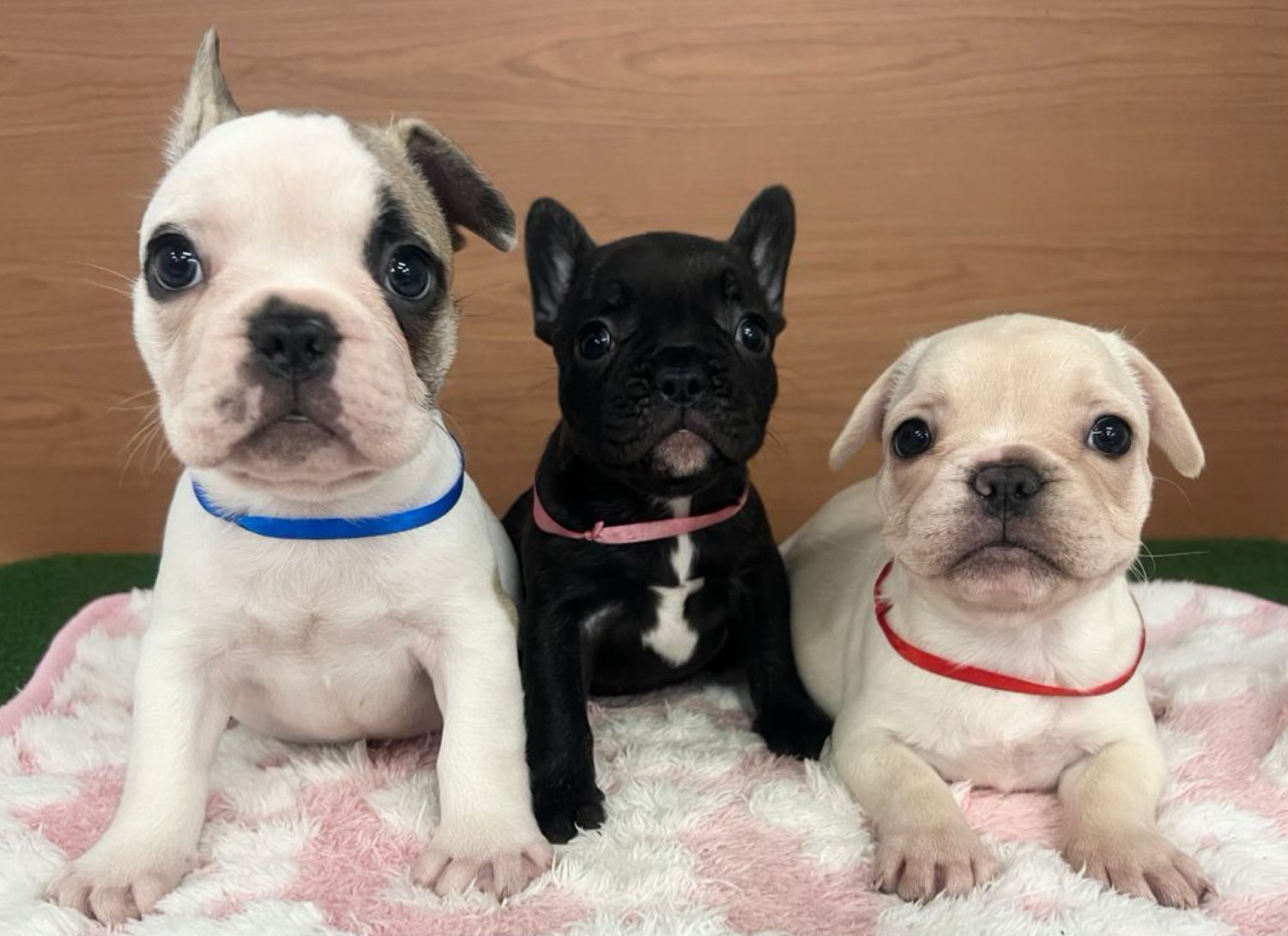 赤ちゃん写真3-3