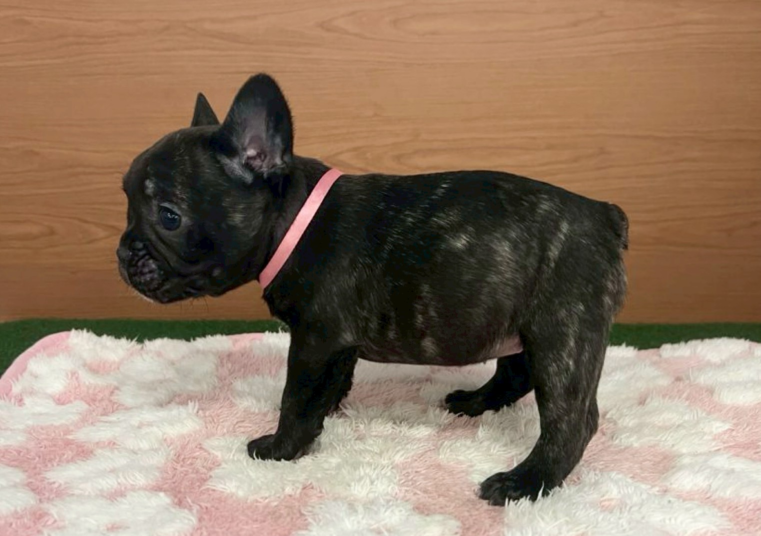 赤ちゃん写真3-2