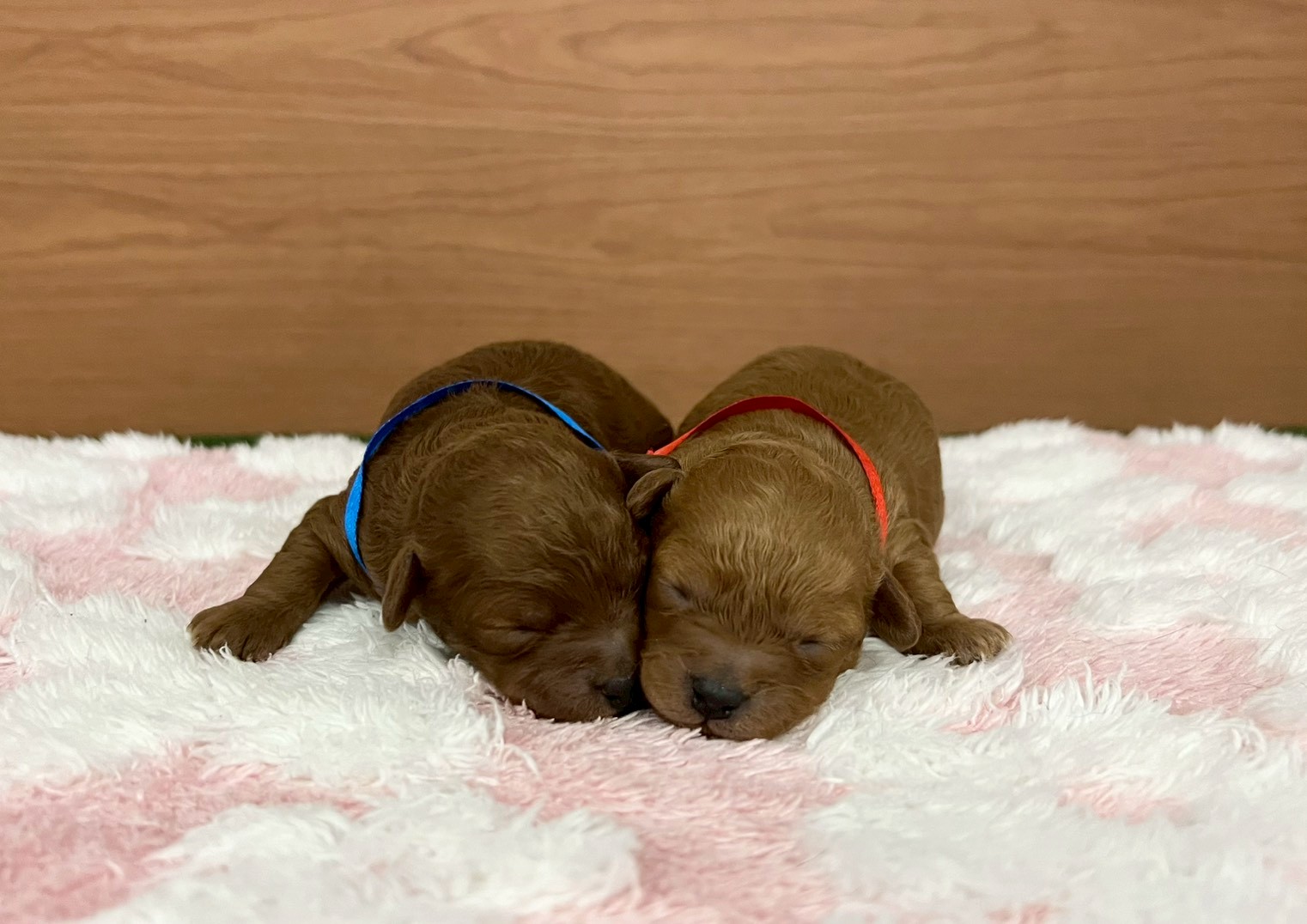 赤ちゃん写真1-3