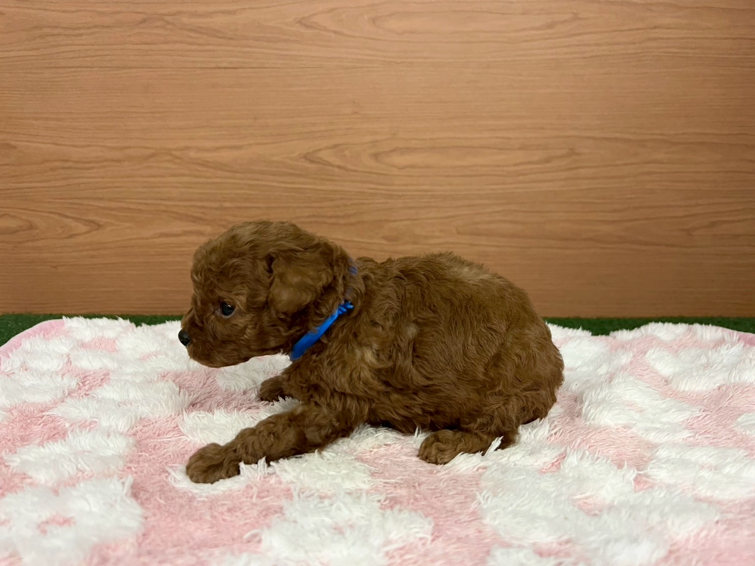 赤ちゃん写真2-2