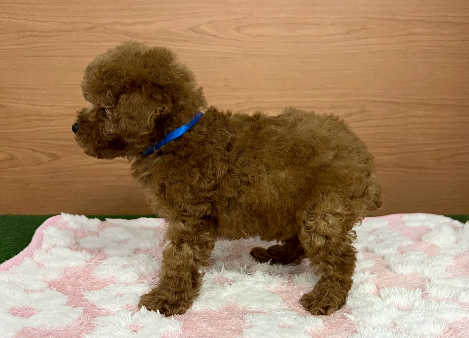 赤ちゃん写真3-2