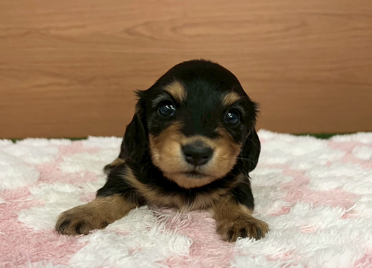 赤ちゃん写真2-1