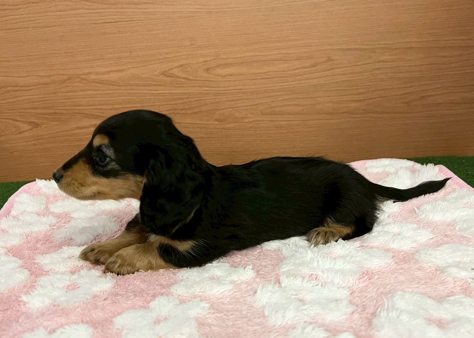 赤ちゃん写真3-2