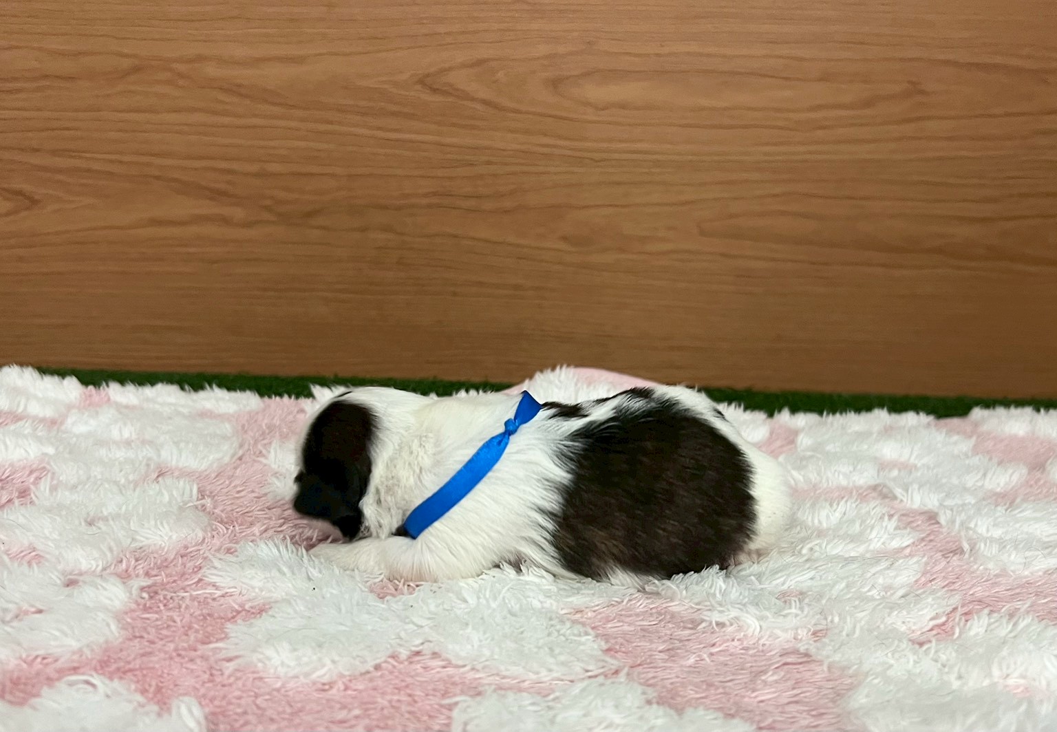 赤ちゃん写真1-2