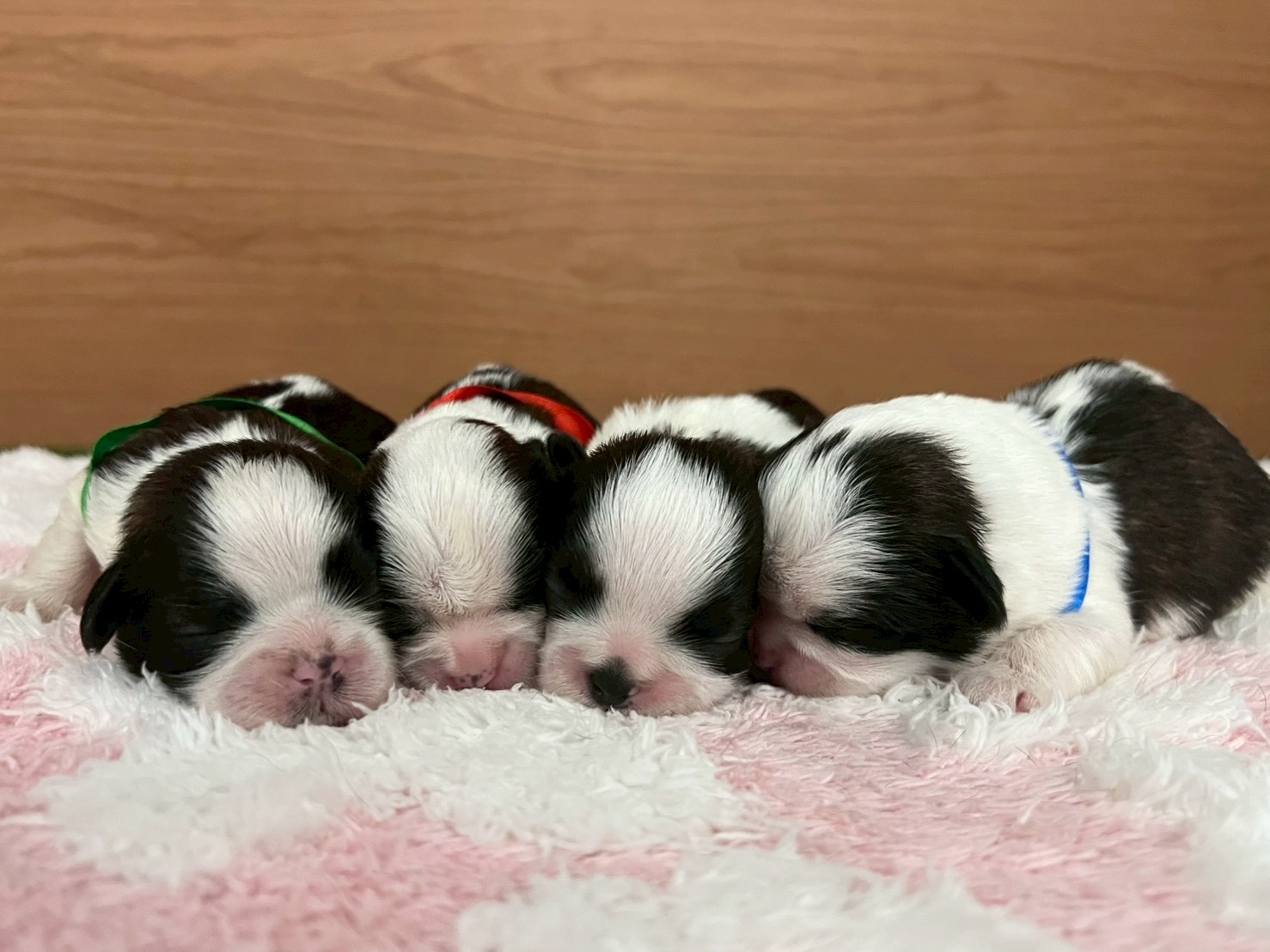 赤ちゃん写真1-3