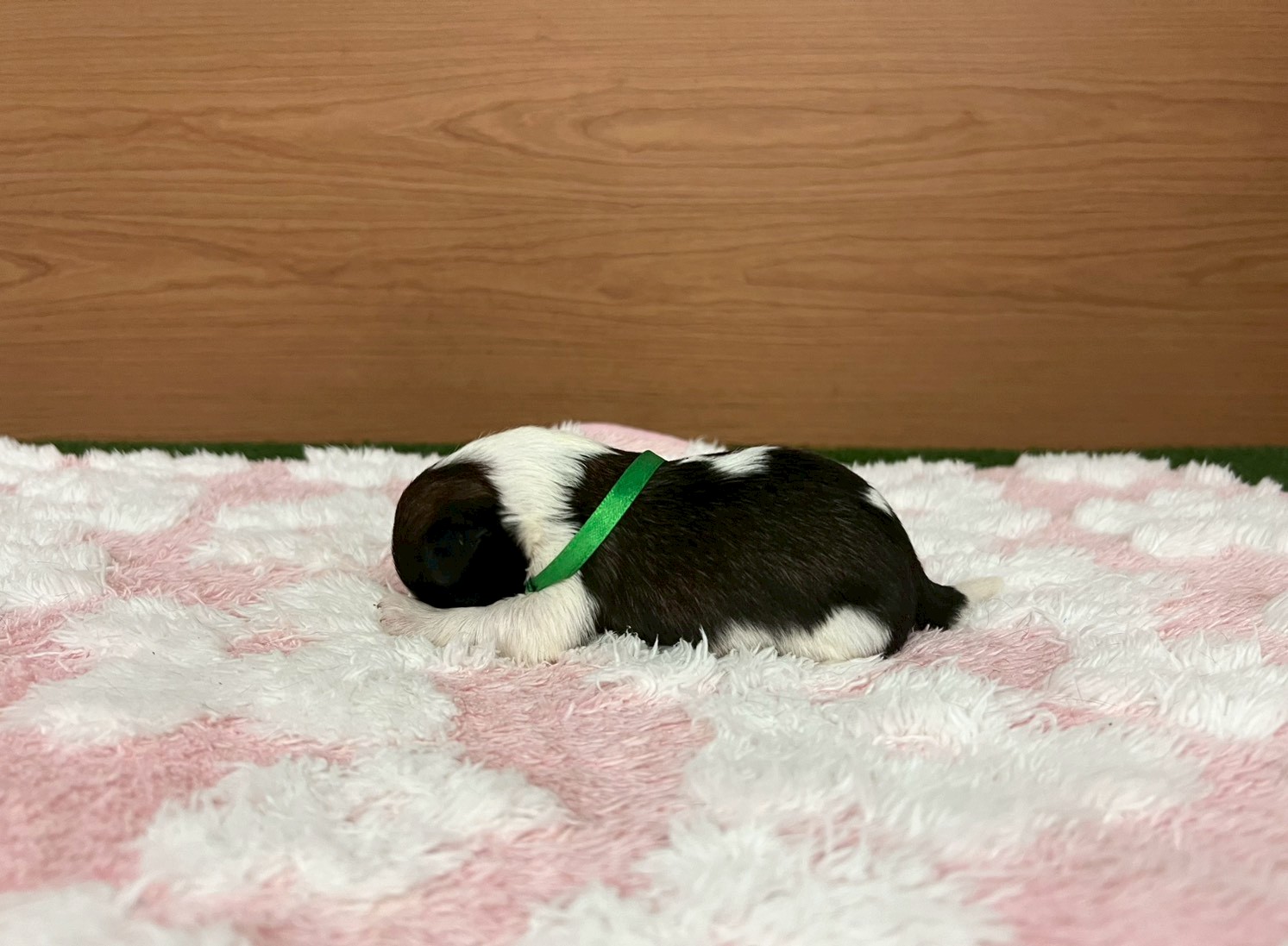 赤ちゃん写真1-2