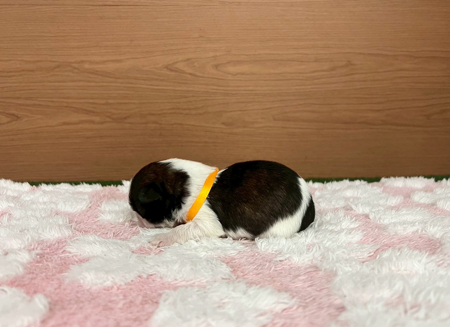 赤ちゃん写真1-2