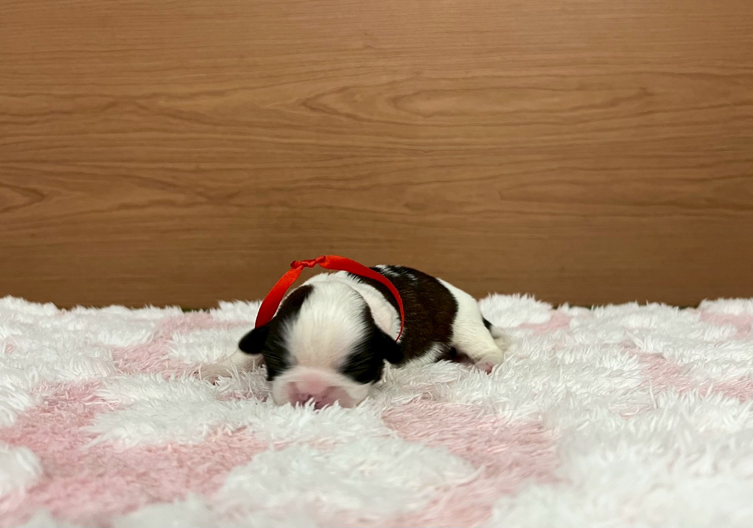 赤ちゃん写真1-1