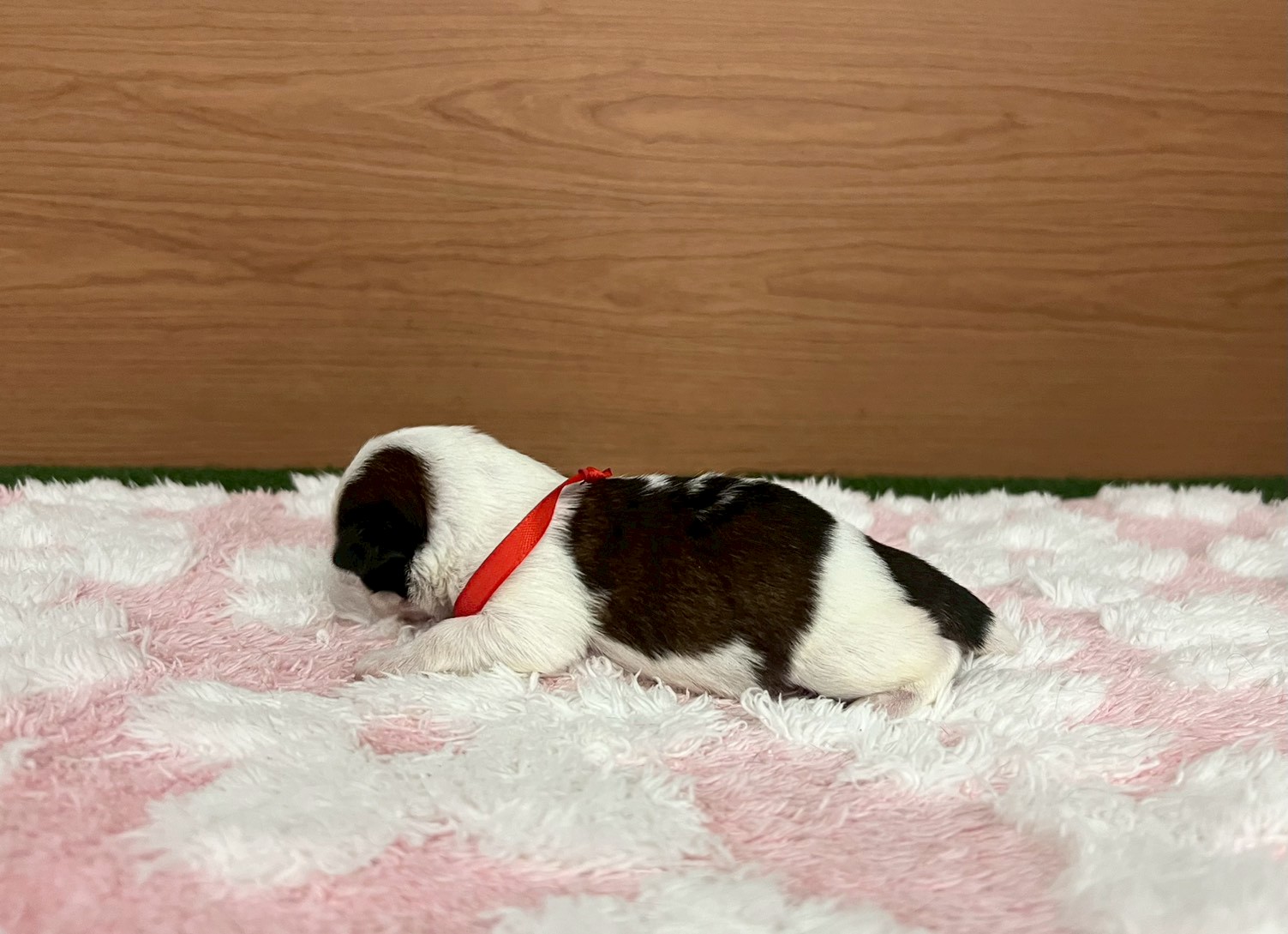 赤ちゃん写真1-2