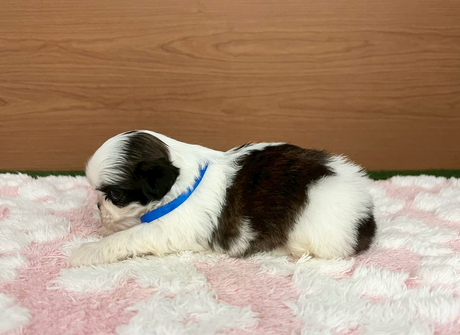 赤ちゃん写真2-2