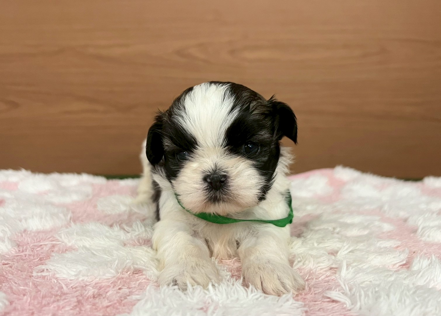 赤ちゃん写真2-1