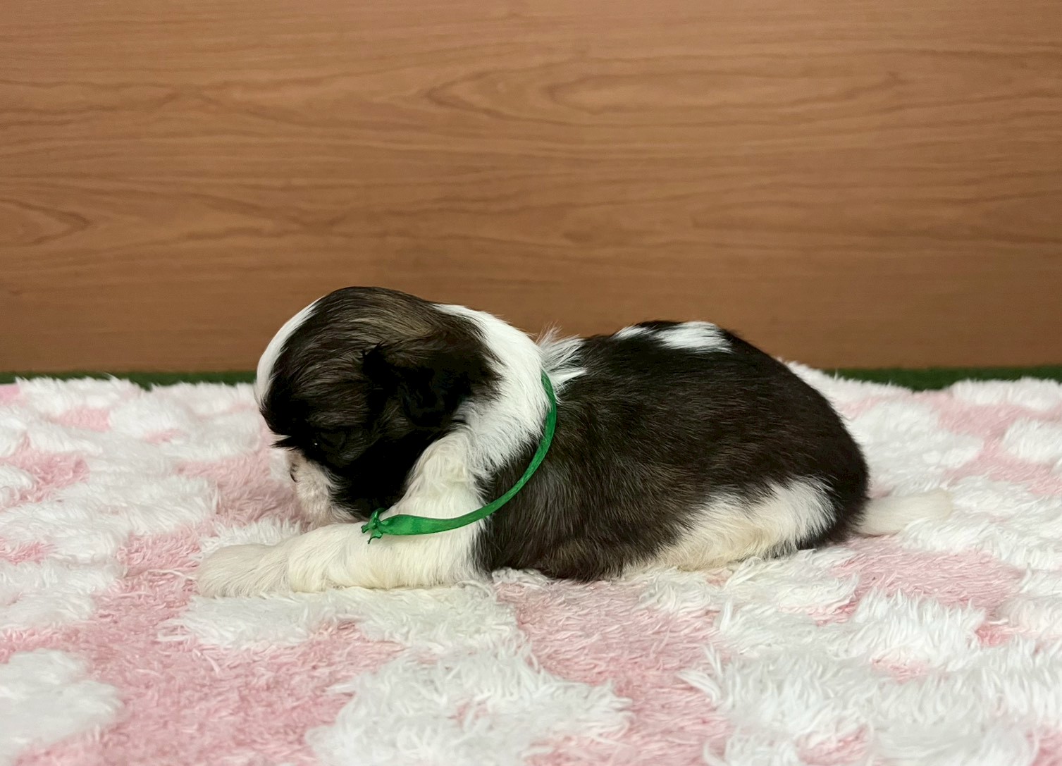 赤ちゃん写真2-2