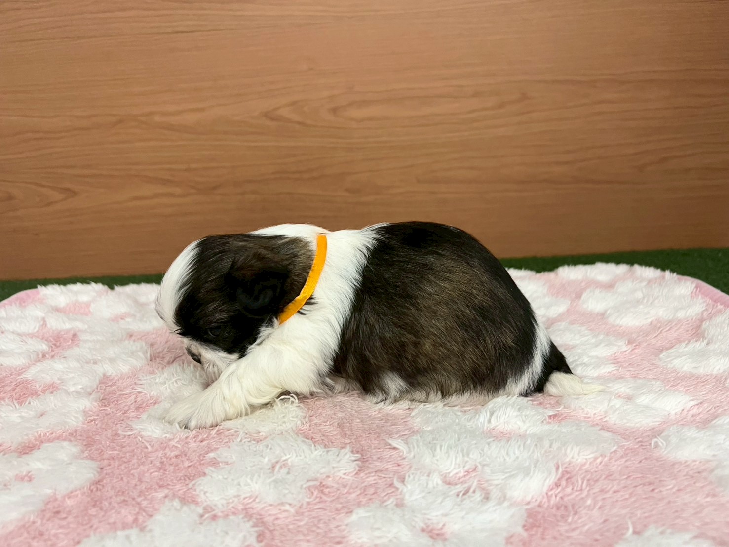 赤ちゃん写真2-2