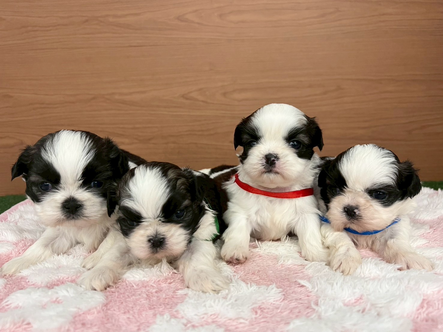 赤ちゃん写真2-3