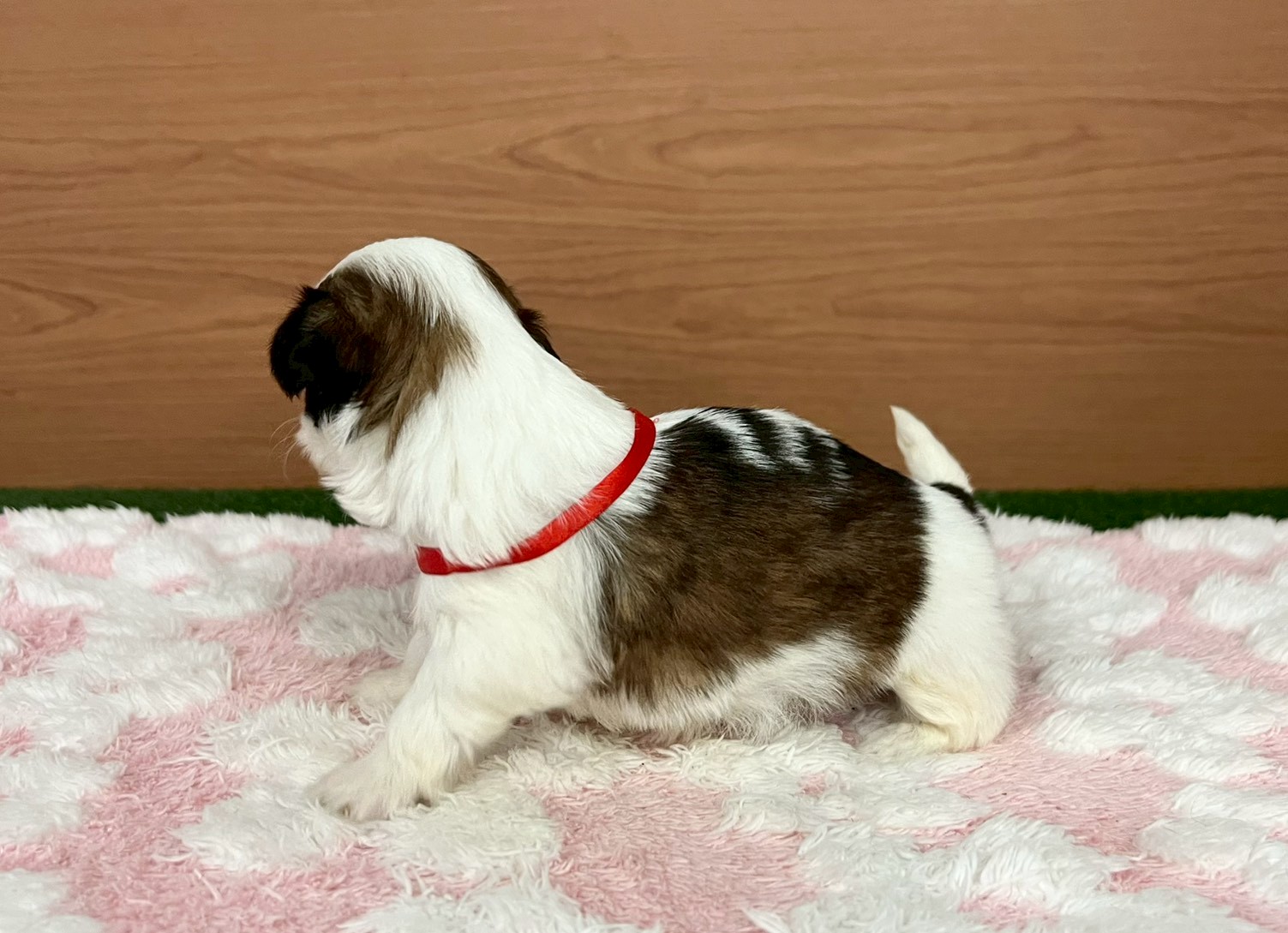 赤ちゃん写真2-2