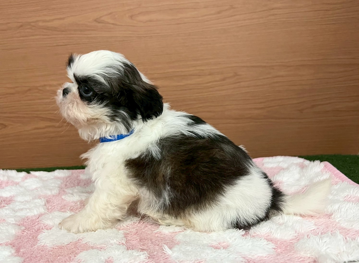 赤ちゃん写真3-2