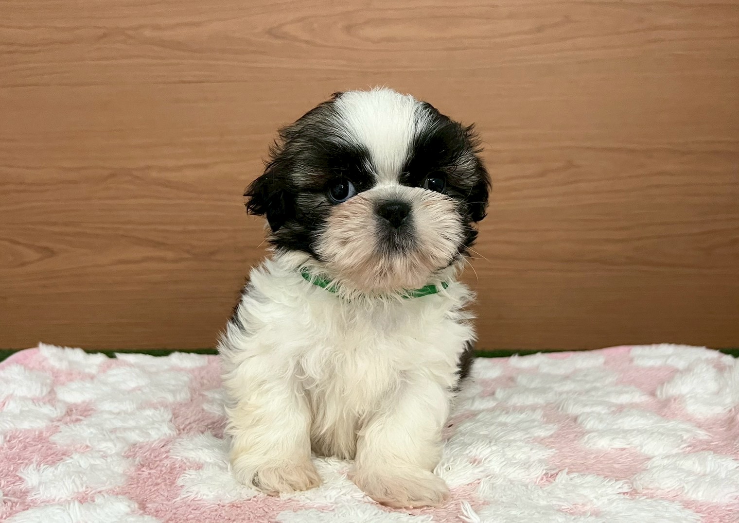 赤ちゃん写真3-1