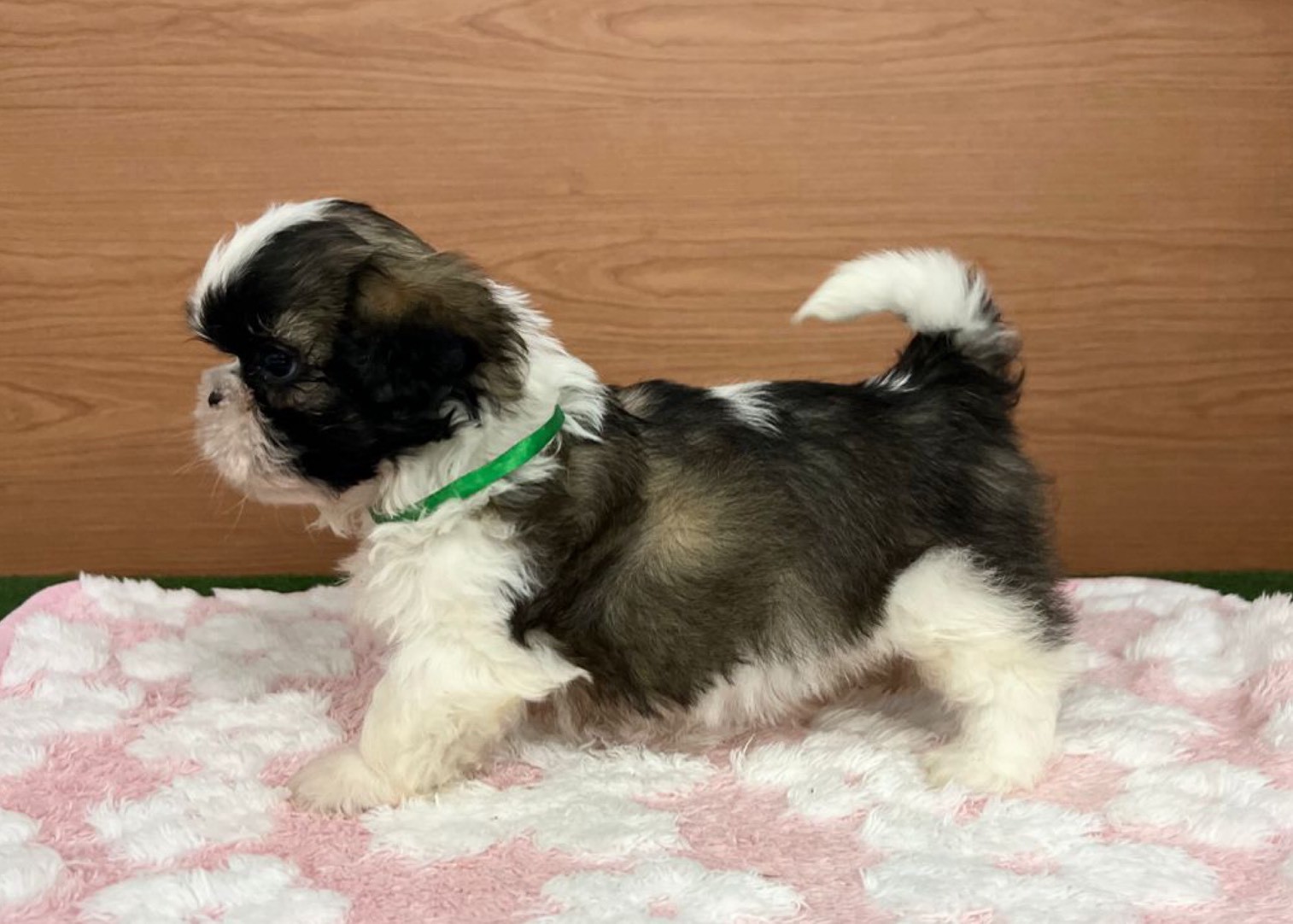 赤ちゃん写真3-2